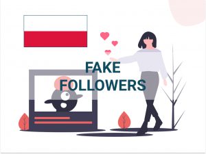 6.Fake-Followers-300x225